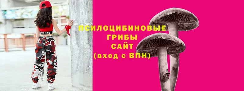 Псилоцибиновые грибы MAGIC MUSHROOMS  Закаменск 